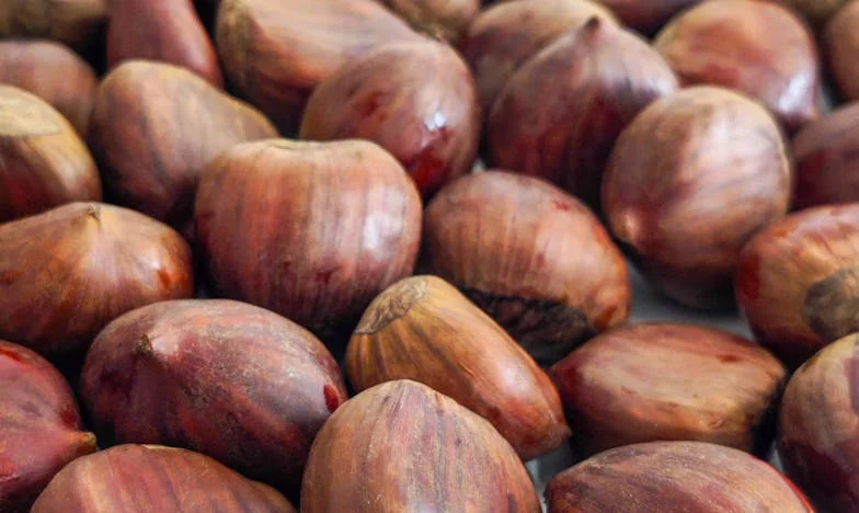 Jak nauczyłam się mówić „nie” – historia spod Máchowskiego Jeziora, która zmieniła moje życie