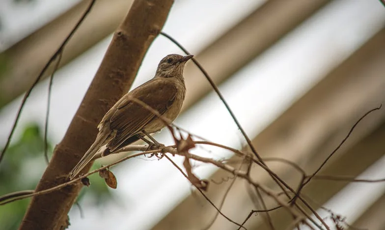 Jak zemściłem się na teściowej, która nie znała granic – historia o rodzinnych sekretach i odwadze powiedzenia „dość!”