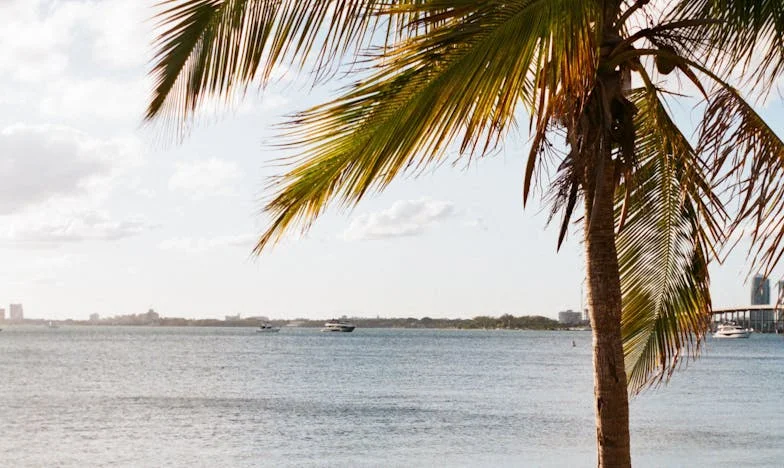 Jedna noc, która roztrzaskała moje życie: zdrada, tajemnice i matka mojego męża