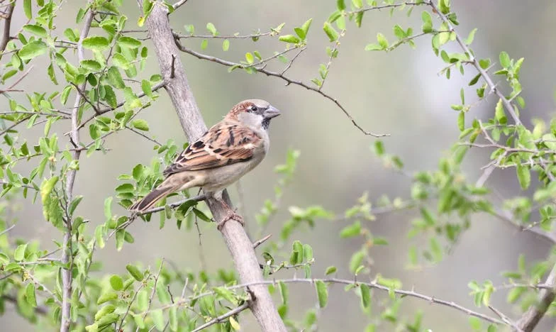Kiedy moja córka przyszła do szpitala – historia o tym, jak łatwo można zranić własną matkę