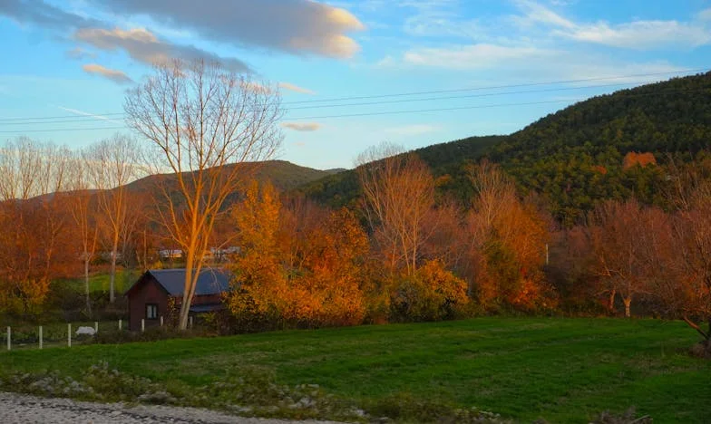 Kiedy szczęście staje się ciężarem: Opowieść o ojcu i synu z Warszawy