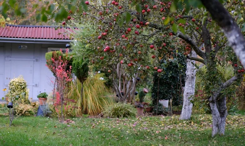 Kiedy teściowa staje się centrum mojego świata: Czy jestem jeszcze panią własnego życia?