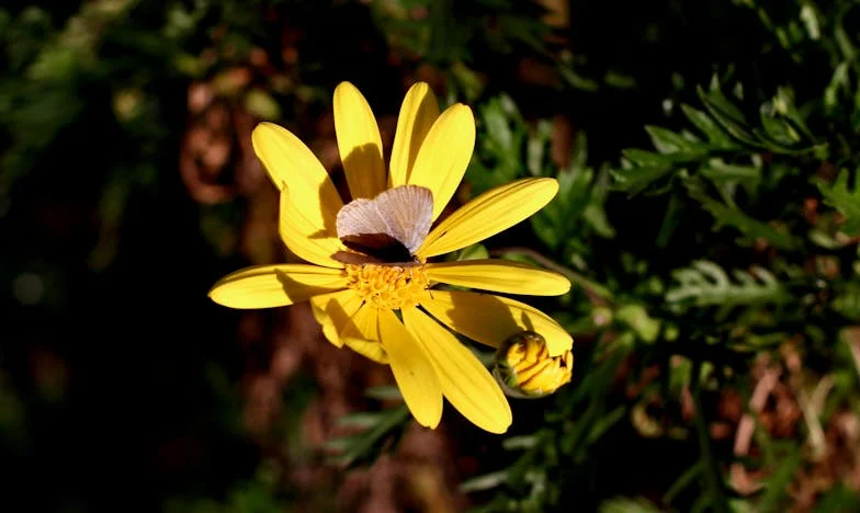 Między młotem a kowadłem: Ile jeszcze wytrzymam dla dobra rodziny?