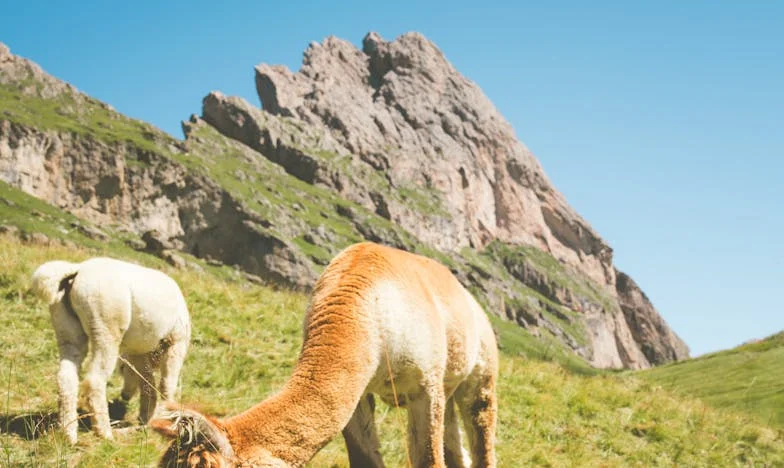 Między obowiązkiem a wolnością: Historia Dariusza, który musiał nauczyć się mówić „nie” własnej rodzinie