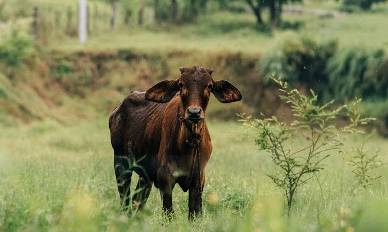 Modlitwa na progu willi: Jak sąsiad zmienił nasze życie – historia Lany z warszawskiego Mokotowa