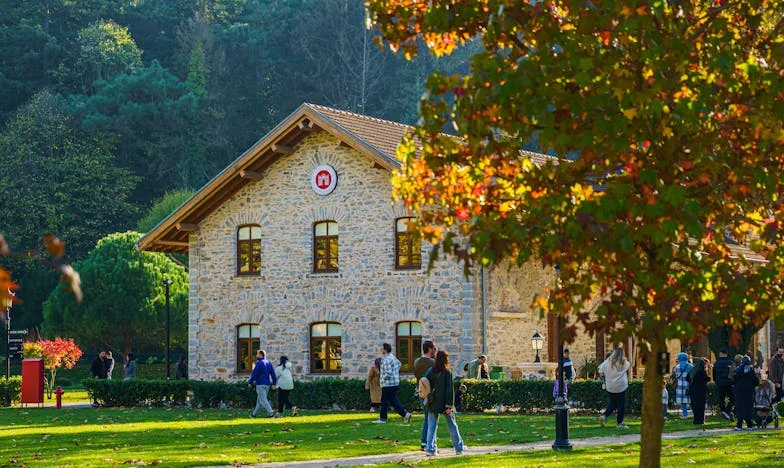 Mój mąż sknera: Czy można kochać kogoś, kto liczy każdy grosz?