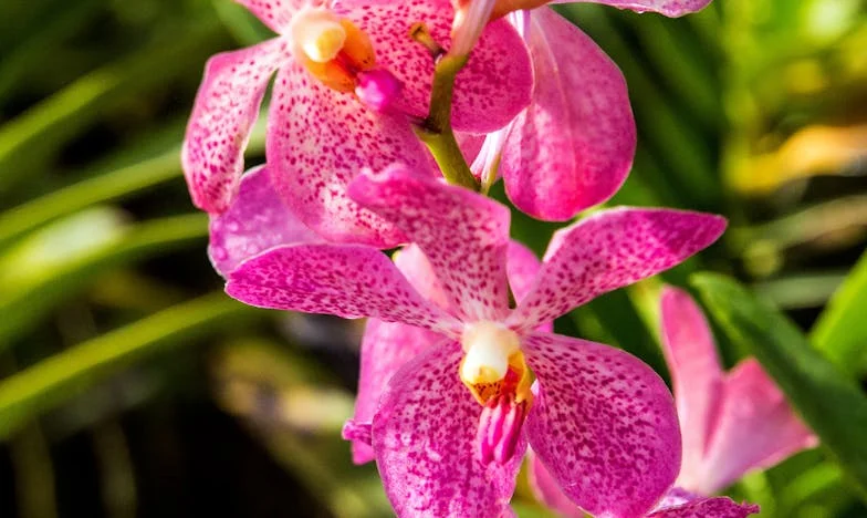 Moja teściowa kocha tylko swoją córkę i wnuczkę – a mój syn dla niej nie istnieje. Czy rodzina powinna tak wyglądać?