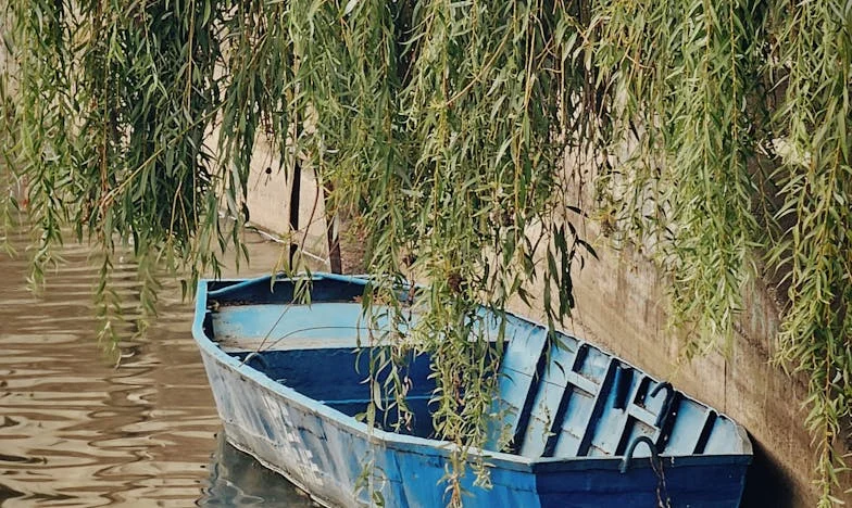 Nie jestem służącą dla teściowej – historia Magdy z Torunia, która w końcu powiedziała DOŚĆ