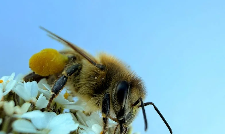 Nieprzeżyte życie: "Chciałam żyć dla siebie, nie tylko dla syna i wnuków" – Historia Marii Nowak