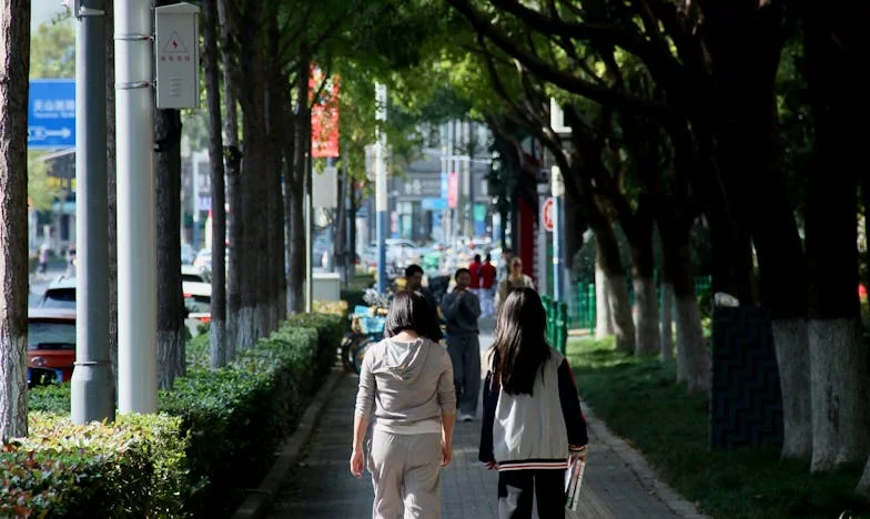 Niewidzialny mur luksusu: Opowieść o rodzinnych podziałach w sercu Warszawy