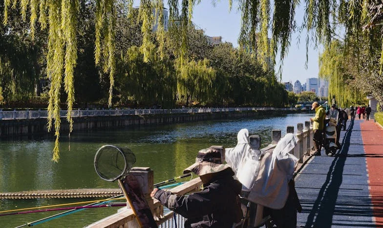 Po śmierci męża odkryłam, że wszystko było kłamstwem – a pomoc przyszła z najmniej oczekiwanej strony