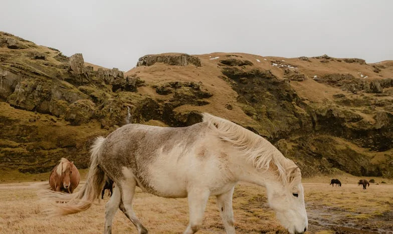 "Przepraszam, ale od dziś ona też z nami mieszka…" – Moja walka o własne granice w polskiej rodzinie