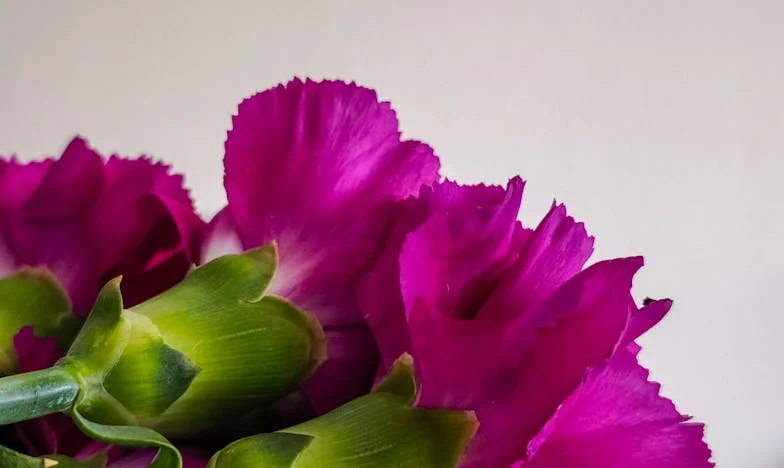 Samotność w czterech ścianach: Gdy rodzina znika, gdy najbardziej jej potrzebujesz