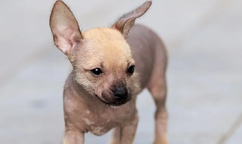 "Wracając z pracy usłyszałam swoje imię": Spotkanie, które rozdarło moje życie na pół