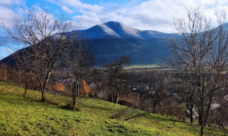 Wyrzucona z domu za ciążę: Po latach rodzice wrócili z prośbą o pomoc. Czy można wybaczyć?