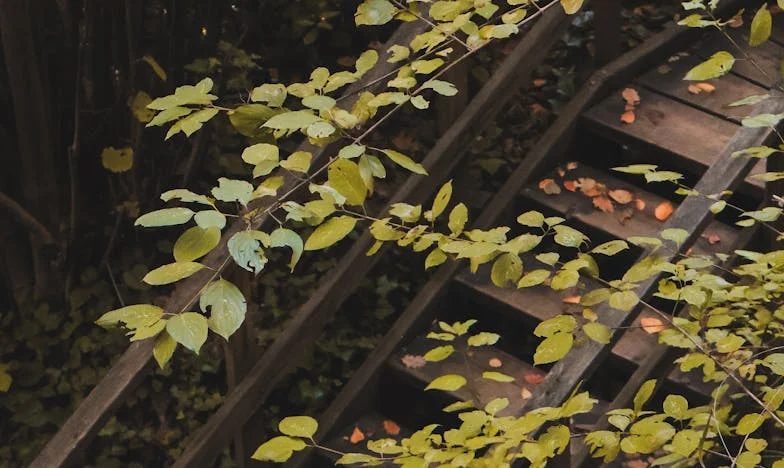 Zaczynam od nowa w wieku czterdziestu lat – jak życie z Andrzejem nauczyło mnie odwagi