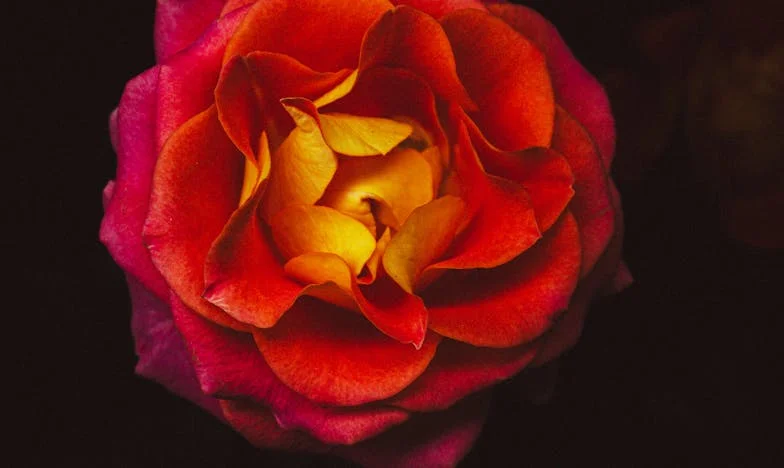 Zakochałem się w kobiecie starszej o siedem lat – rodzina nie wybaczyła mi tej decyzji. Czy miłość naprawdę nie zna granic?