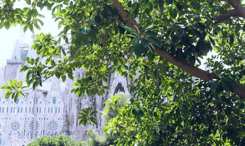 Zdrada, która zaczęła się jednym telefonem – historia Magdy z Poznania