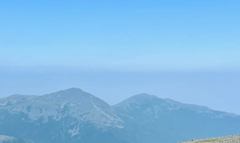 Zdrada w kawiarni naprzeciwko – historia, która rozdarła moje życie na pół