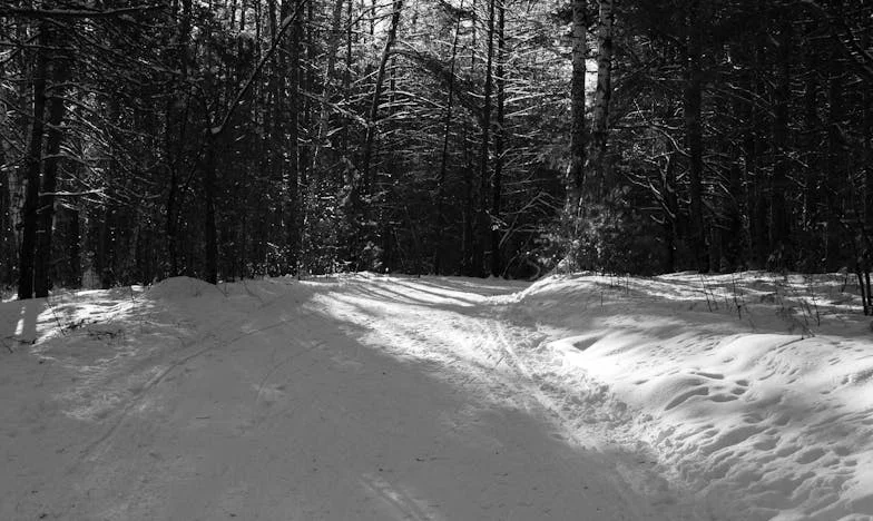 Cena zaufania: Jak jeden obiad zmienił moje życie w pracy