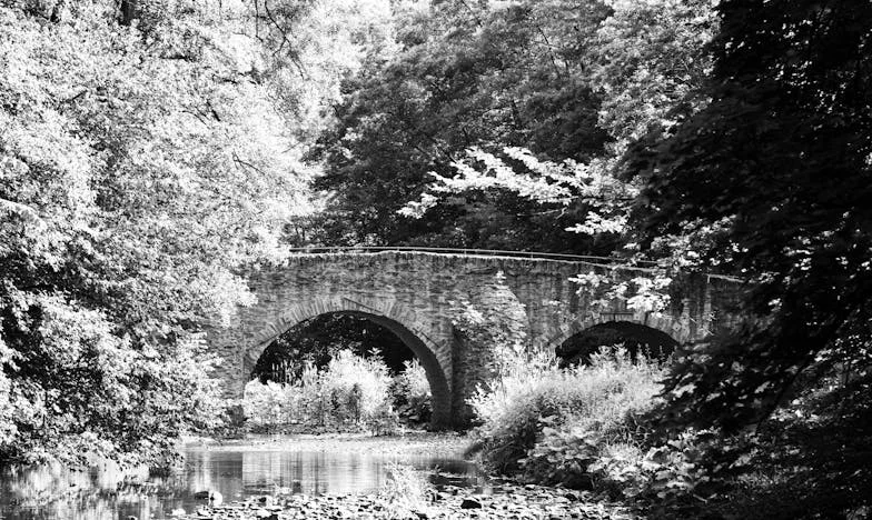 Cień na skraju wsi – historia Anny z domu na końcu świata