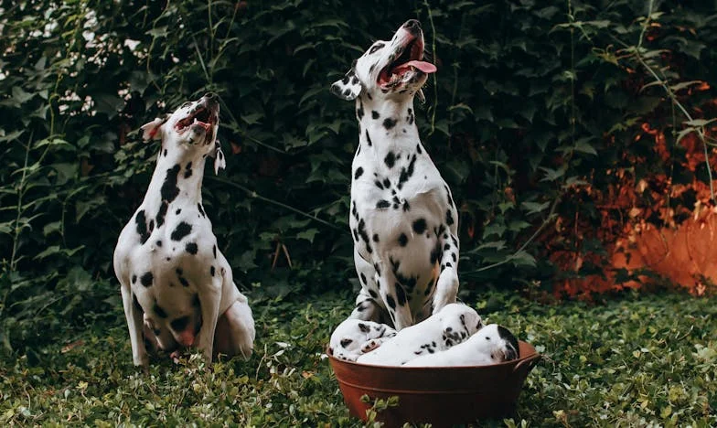 „Dlaczego nie jestem wystarczająca?” – Moje życie w cieniu zdrady po sześćdziesiątce