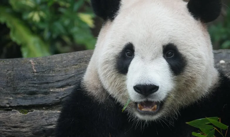 Dlaczego zawsze ja płacę? – Moja walka o szacunek w związku z Markiem