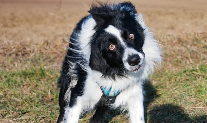 Dom, który miał być schronieniem, a stał się więzieniem – historia o rodzinnych tajemnicach i walce o własne życie
