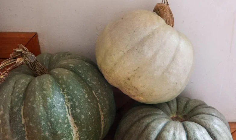 Dziedzictwo milczenia: Gorzka prawda o rodzinnych podziałach