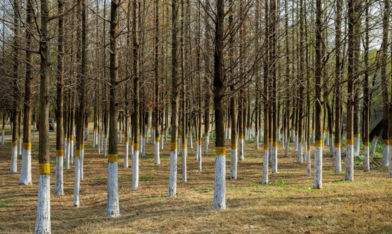 Kiedy dom staje się więzieniem: Moja walka o miłość i własne życie na obrzeżach Warszawy