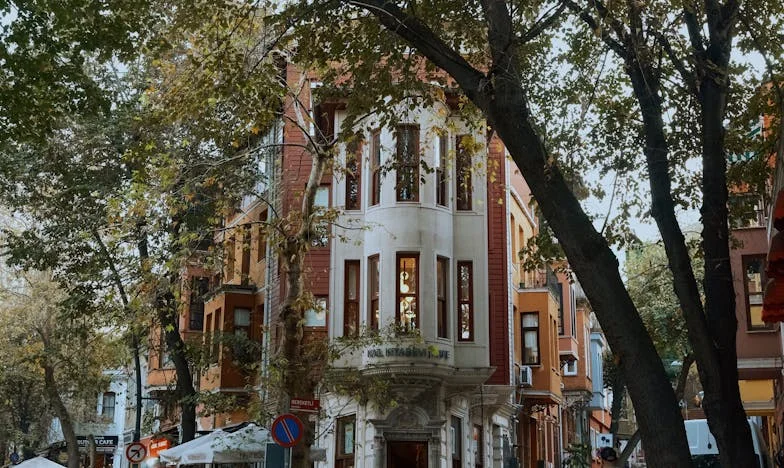 Kiedy mój syn wrócił po latach: Historia o bólu, uprzedzeniach i sile przebaczenia