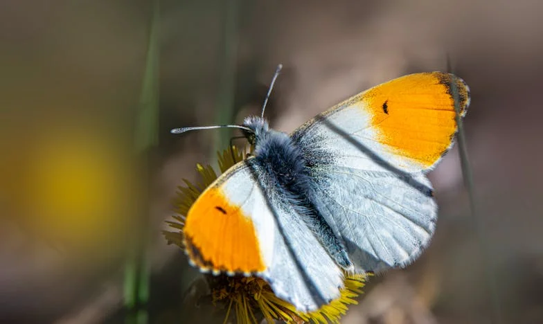 Kiedy rodzina żąda więcej, niż możesz dać: Moja walka o własne granice i serce