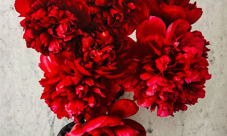 Kim jestem, kiedy prawda boli? Historia Filipa, który odkrył rodzinny sekret