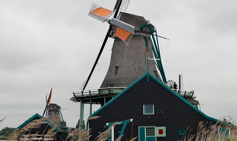 Kwiatowa sukienka i łzy pod reflektorami: Moja noc pod światłami studniówki