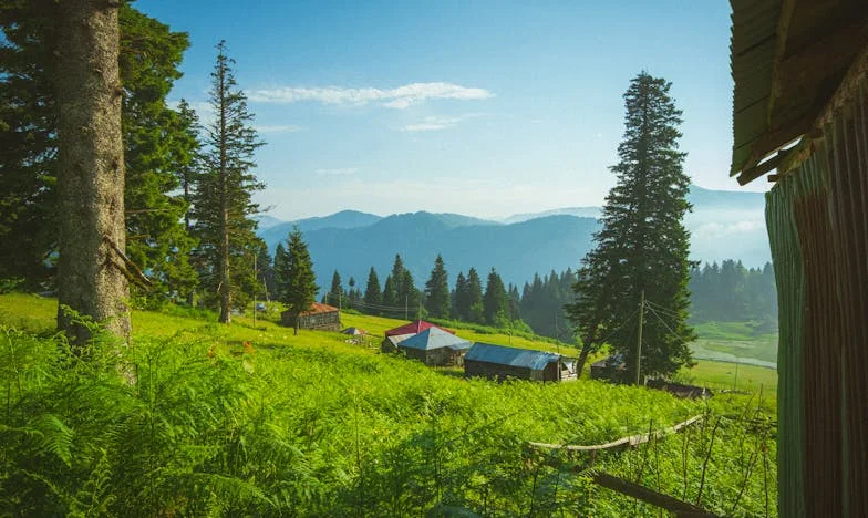 Mama wybrała nowe życie, a ja zostałam sama – historia o tęsknocie, żalu i nadziei na pojednanie