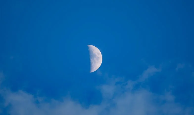 Między krwią a sercem: Moja walka o własne życie i miłość – historia, która zaczęła się od jednej rodzinnej kolacji