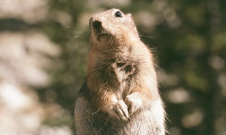 Między winą a tęsknotą: Moje życie w cieniu rodziny – szczera spowiedź o zakazie ojca i własnych marzeniach