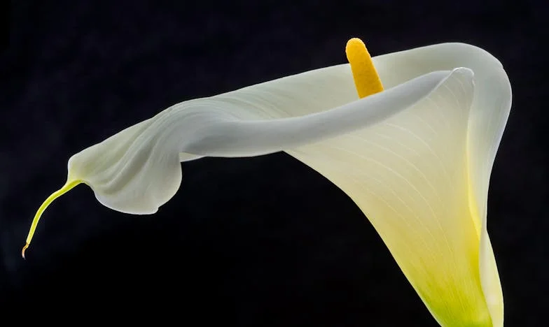 Miłość matki w cieniu Wisły: Czy kiedykolwiek będę wystarczająca?