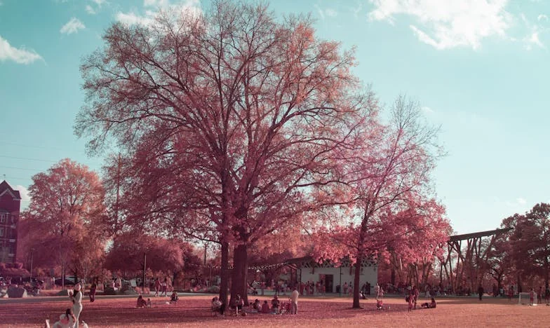Mój brat odebrał mi mieszkanie – historia zdrady, walki i rodzinnych ran