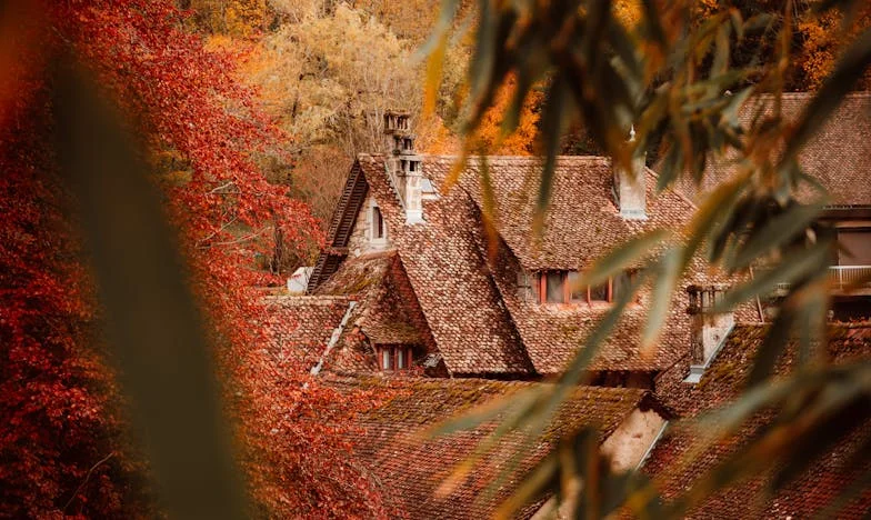 Moje auto, moja rodzina i przebaczenie, którego nigdy nie wypowiedziałam – historia polskiej kobiety między zaufaniem a rozczarowaniem