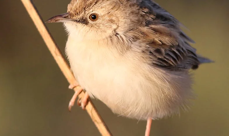 Musieliśmy zmienić zamki, żeby teściowa nie wchodziła do naszego domu – historia o tym, jak marzenia jednej osoby mogą zniszczyć rodzinę