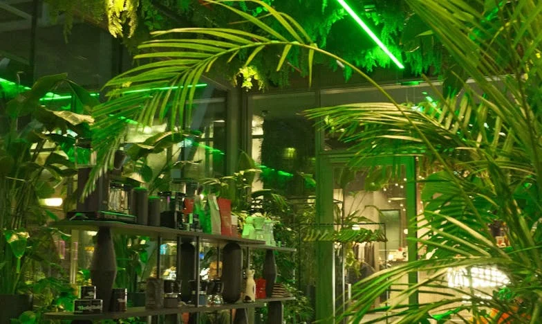 „Nie jestem pasożytem!” – Moja walka o szacunek w rodzinie męża