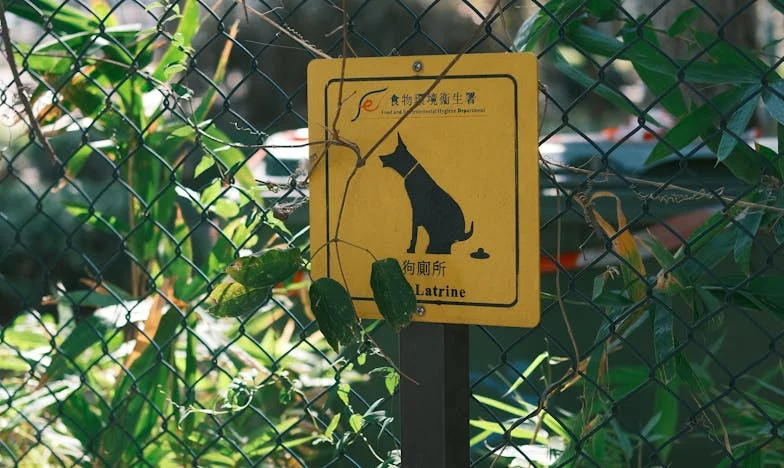 Nowa żona mojego byłego męża stanęła w moich drzwiach z ironicznym uśmiechem… Nie spodziewałam się, że będę musiała bronić domu mojego ojca