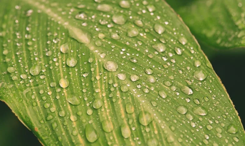 Nowe mieszkanie, stare problemy: Jak nauczyłam się mówić „nie” własnej rodzinie