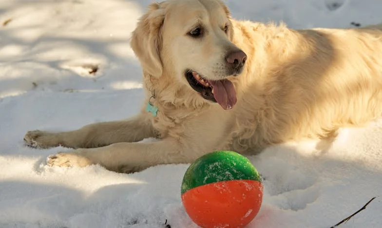 „Oddaj mieszkanie bratu, przecież jesteście rodziną!” – historia, która rozdarła moje serce i rodzinę
