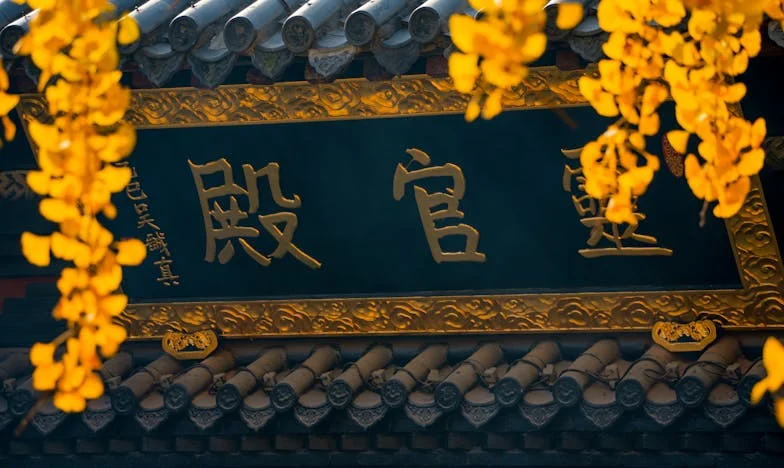 Oddałam córce mieszkanie, a ona wyrzuciła mnie na bruk. Czy to jest wdzięczność?