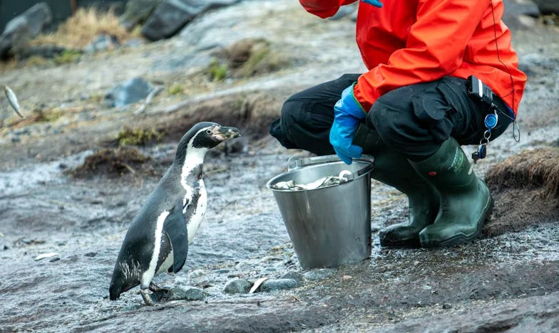 Odmówiłam opieki nad wnuczką – teraz cała rodzina się ode mnie odwróciła. Czy naprawdę jestem egoistką?