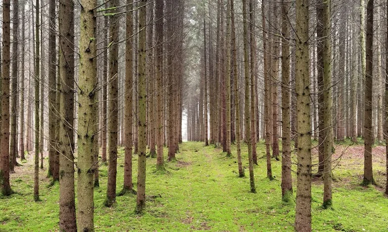 „Paweł, jestem w Gdańsku, a dzieci są u mamy. Proszę, wybacz i zrozum!” – Wyznanie wyczerpanej matki, która musiała uciec, by się nie zatracić