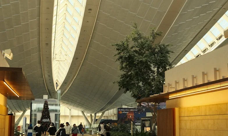 Po tym, jak moja synowa mnie upokorzyła, nie chcę jej więcej widzieć w swoim domu. Czy to ja jestem winna?