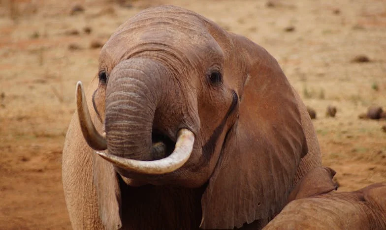 Pod jednym dachem: Kiedy rodzicielstwo staje się ciężarem – Moja walka o siebie i rodzinę